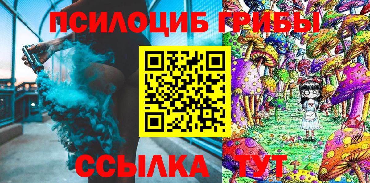 Галлюциногенные грибы Psilocybine cubensis  Вход с VPN  Мытищи 