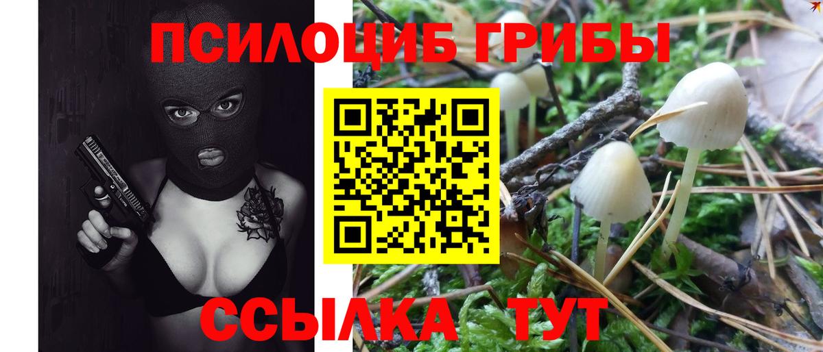 Псилоцибиновые грибы мухоморы Мытищи